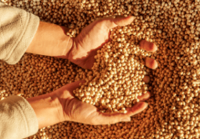 Intacta 2 XTEND Logo