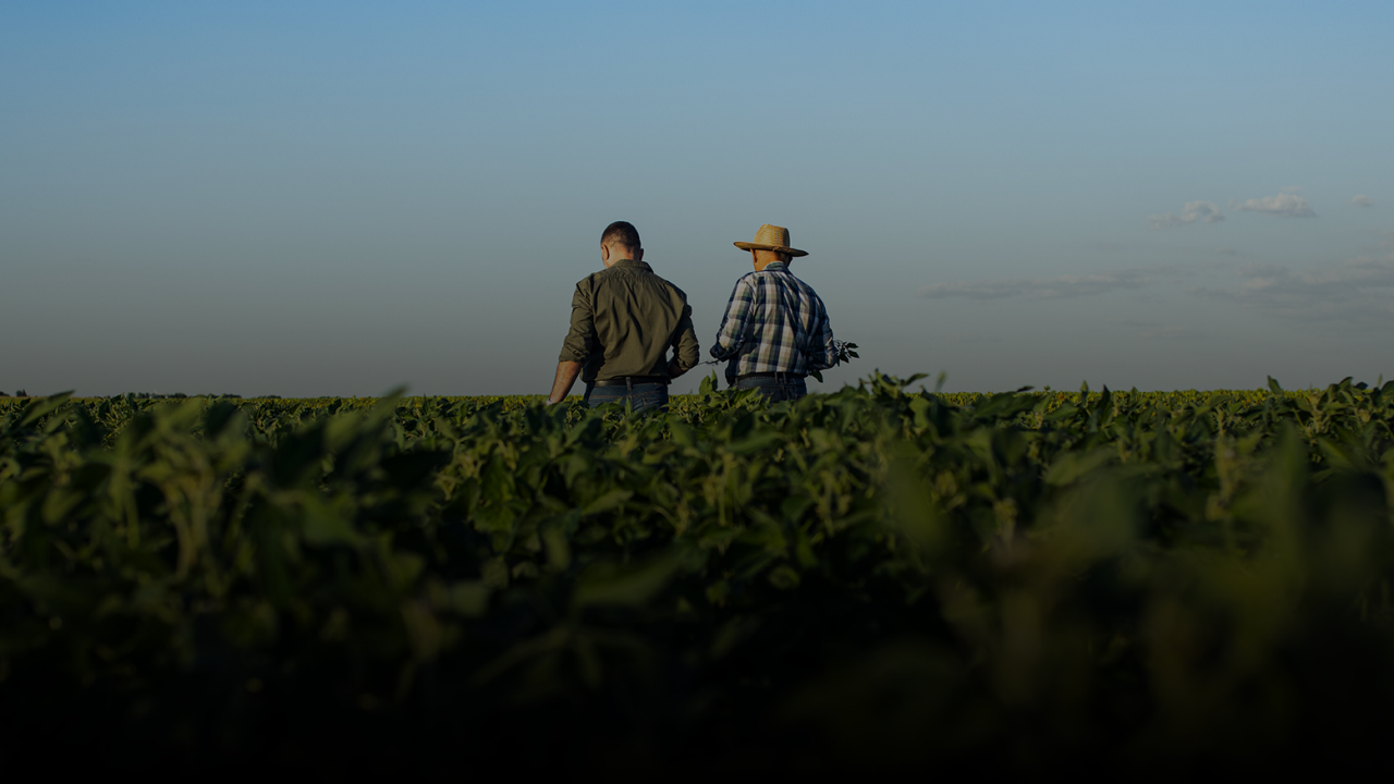 Sembrá refugio con INTACTA