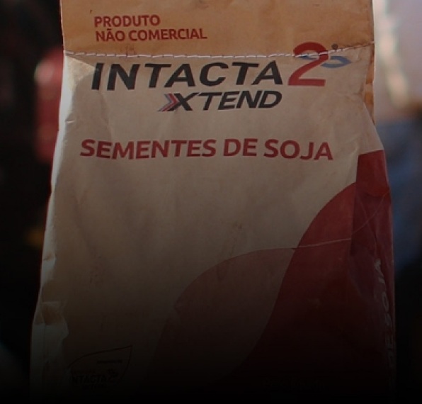 saco de sementes de soja com a logo da intacta 2 xtend