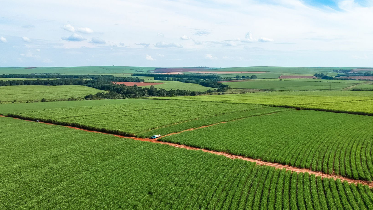 Vista aérea de um campo verde vasto e ondulado sob um céu com nuvens. A paisagem é cortada por estradas de terra vermelha, com um pequeno camião azul no centro e manchas de árvores ao fundo.