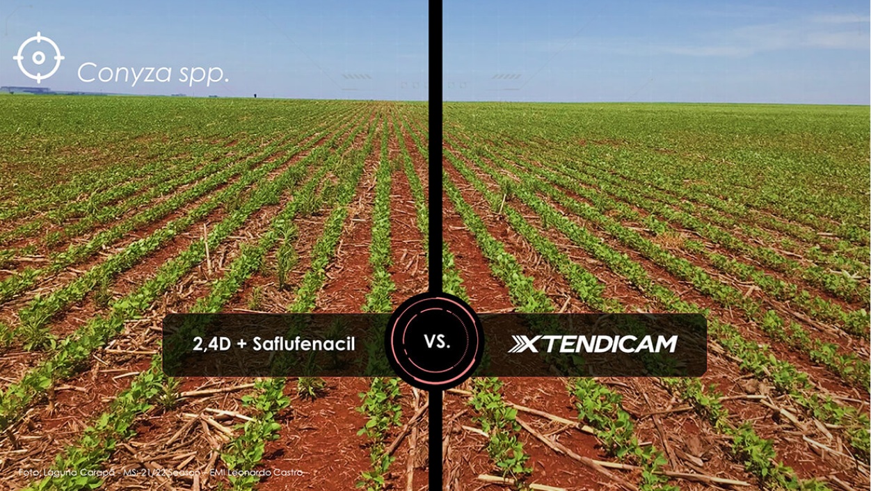 lado esquerdo manejo comum, lado direito manejo com xtendicam