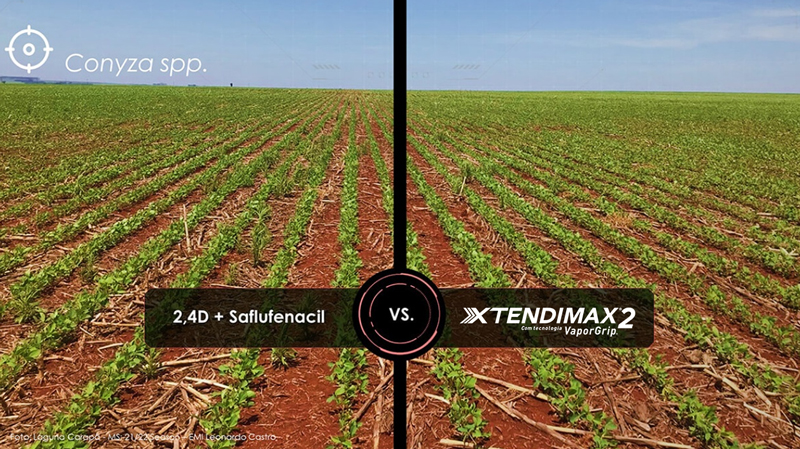 lado esquerdo manejo comum, lado direito manejo com XTENDIMAX® 2