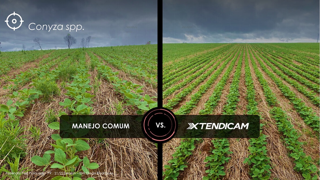 lado esquerdo manejo comum, lado direito manejo com xtendicam