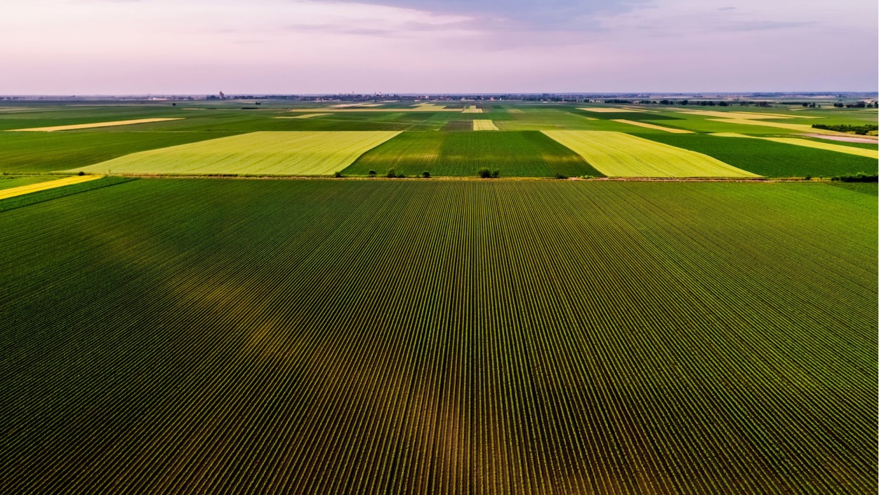 foto de plantações tiradas de cima para baixo